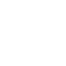phone-icon